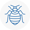 Bed Bug Extermination In Stoneleigh Surrey