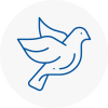 Bird Prevention Stoneleigh Surrey
