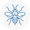 Stoneleigh Surrey Hornet Nest Removals