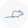 Mice Exterminators In Stoneleigh Surrey