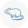 Rat Control Stoneleigh Surrey