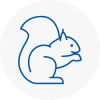 Stoneleigh Surrey Rodent Removals