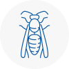 Stoneleigh Surrey Wasp Nest Removal
